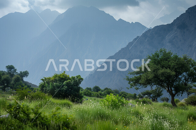 الغيوم والسحب البيضاء، الاستمتاع بالمناظر الطبيعية، النباتات والأعشاب الخضراء على القمم والمرتفعات الجبلية في منطقة عسير، مناطق وأماكن سياحية مشهورة، أجواء ضبابية فوق جبال السودة في أبها جنوب المملكة العربية السعودية