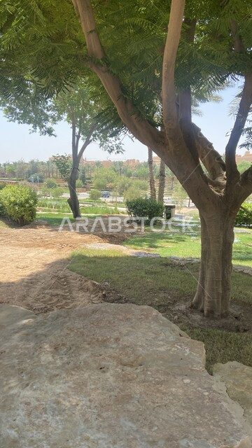 Interest in planting plants and trees in the Diriyah region, famous archaeological tourist places in the city of Riyadh, lush green nature, public recreational parks in the Kingdom of Saudi Arabia