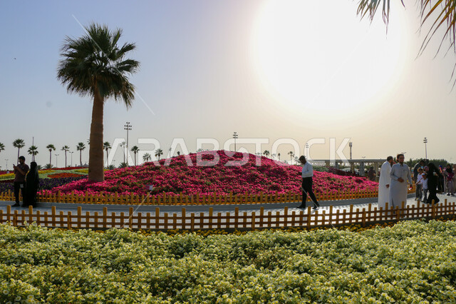 الحفاظ على البيئة والتنمية المستدامة، حقول الورود الملونة في مهرجان الزهور والحدائق، وجهه عائلية بيئية ثقافية وترفيهية، الديكورات والتصاميم في حديقة مدينة ينبع الصناعية، معارض ومهرجانات طبيعية سياحية في المملكة العربية السعودية