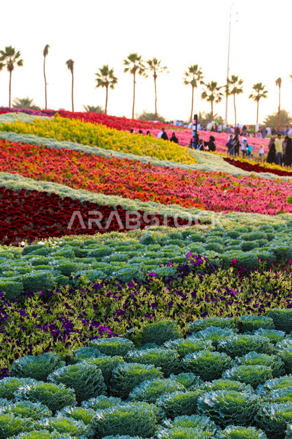 Environmental preservation and sustainable development, fields of colorful roses at the Flower and Gardens Festival, an environmental, cultural and entertainment family destination, decorations and designs in the Yanbu Industrial City Park, natural tourist exhibitions and festivals in the Kingdom of Saudi Arabia