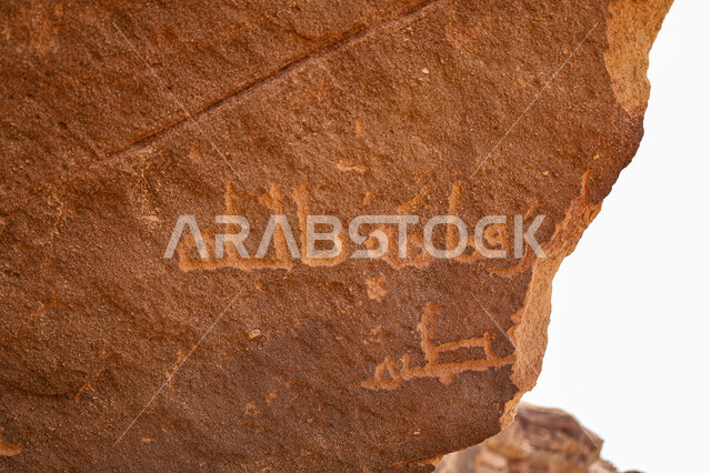 كتابات ورسوم عربية صخرية، نقوش من الحضارات النبطية واللحيانية و الدادانية على الصخور في منطقة العلا وجبل دادان، الحفاظ على ثقافة وتاريخ الأجداد، نقش أثري يعود لعصور قديمة في المملكة العربية السعودية، الأحافير والمنحوتات التاريخية