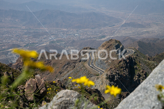 الطرقات الملتوية والوعرة في أماكن القمم والمرتفعات الصخرية, صورة مقربة للنباتات البرية والأزهار المتفتحة في المناطق المرتفعة, التكوينات والتشكيلات الصخرية في جبال الهدا في مدينة الطائف, معالم السياحة المشهورة في المملكة العربية السعودية