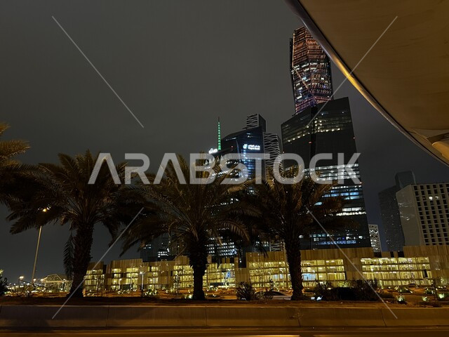 معالم ومباني مشهورة في الرياض، الفنون و التصاميم الهندسية المعمارية للأبراج وناطحات السحاب المضاءة ليلا في المملكة العربية السعودية، النمو والتطور العمراني، الاهتمام بزراعة أشجار النخيل والنباتات الخضراء