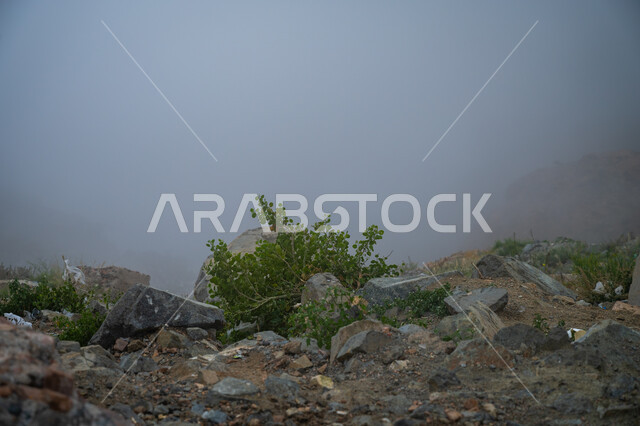 الأجواء الشتوية الهادئة، التضاريس والتكوينات الصخرية في القمم والمرتفعات الجبلية، أماكن سياحية مشهورة، سلسلة جبال الهدا في مدينة الطائف غرب المملكة العربية، الاستمتاع بالمناظر الطبيعة