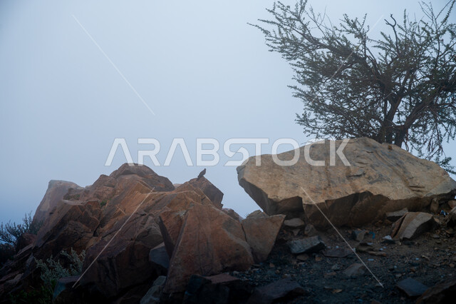 الاستمتاع بالمناظر الطبيعة، سلسلة جبال الهدا في مدينة الطائف غرب المملكة العربية، الأجواء الشتوية الهادئة، التضاريس والتكوينات الصخرية في القمم والمرتفعات الجبلية، أماكن سياحية مشهورة