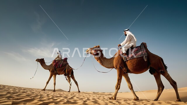  مفهوم تربية ورعاية الابل في المملكة العربية السعودية، الطبيعة الجبلية في صحاري شبه الجزيرة، اسلوب التنقل في القدم، الجبال والكثبان الرملية والمرتفعات في الصحراء، قطيع من الجمال يسير في محمية طبيعية بالمناطق الصحراوية