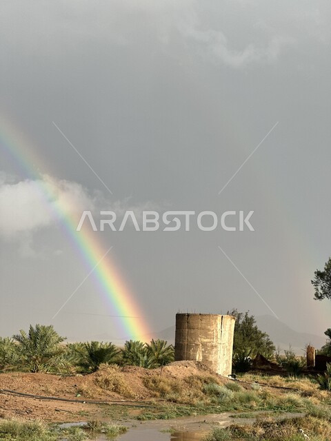 The view of the rainbow in the sky after rain, the growth of wild plants and herbs on the peaks and heights, the rocky environment and mountainous nature in the city of Hail, places and areas of natural tourism in the Kingdom of Saudi Arabia