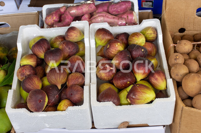 فاكهه التين السكري اللذيذة، محاصيل ومنتجات زراعية محلية وطنية إماراتية، موسم قطاف المحصول الزراعي في إمارة ابو ظبي، الاهتمام بالزراعة المحلية والاكتفاء الذاتي في الإمارات العربية المتحدة، أسواق شعبية لبيع الخضار والفواكه الطازجة في مدينة العين