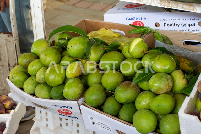 فاكهه المانجو الشهية، محاصيل ومنتجات زراعية محلية وطنية إماراتية، موسم قطاف المحصول الزراعي في إمارة ابو ظبي، الاهتمام بالزراعة المحلية والاكتفاء الذاتي في الإمارات العربية المتحدة، أسواق شعبية لبيع الخضار والفواكه الطازجة في مدينة العين