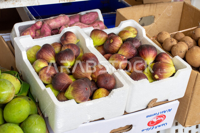 فاكهه التين السكري اللذيذة، محاصيل ومنتجات زراعية محلية وطنية إماراتية، موسم قطاف المحصول الزراعي في إمارة ابو ظبي، الاهتمام بالزراعة المحلية والاكتفاء الذاتي في الإمارات العربية المتحدة، أسواق شعبية لبيع الخضار والفواكه الطازجة في مدينة العين