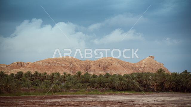 القمم والمرتفعات الجبلية، الاهتمام بزراعة أشجار النخيل الخضراء في منطقة الإحساء، معالم أثرية تاريخية قديمة، التشكيلات والتكوينات الصخرية الطبيعية في محافظة العلا بالمملكة العربية السعودية، المناطق الطبيعة الصحراوية