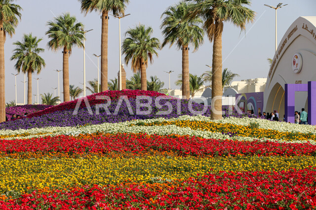 Environmental preservation and sustainable development, fields of colorful roses at the Flower and Gardens Festival, an environmental, cultural and entertainment family destination, decorations and designs in the Yanbu Industrial City Park, natural tourist exhibitions and festivals in the Kingdom of Saudi Arabia.