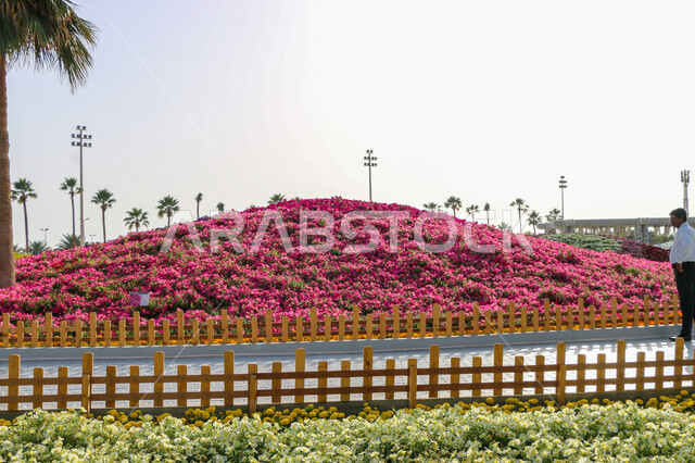 الحفاظ على البيئة والتنمية المستدامة، حقول الورود الملونة في مهرجان الزهور والحدائق، وجهه عائلية بيئية ثقافية وترفيهية، الديكورات والتصاميم في حديقة مدينة ينبع الصناعية، معارض ومهرجانات طبيعية سياحية في المملكة العربية السعودية