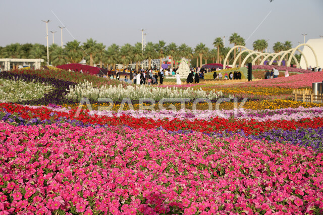 Environmental preservation and sustainable development, fields of colorful roses at the Flower and Gardens Festival, an environmental, cultural and entertainment family destination, decorations and designs in the Yanbu Industrial City Park, natural tourist exhibitions and festivals in the Kingdom of Saudi Arabia.