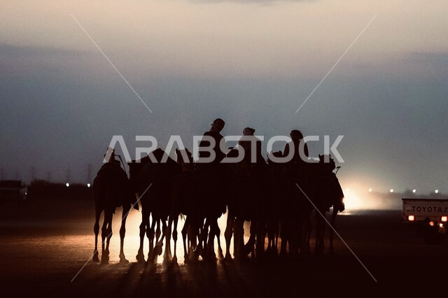 عام الإبل 2024، صورة ظلية لرجال عرب خليجيين سعوديين يركبون على الجمل وسط الصحراء اثناء غروب الشمس، توارث حب النوق بين أبناء الوطن، حيوانات السفر والتنقل في القدم، الاحتفال بالقيمة الثقافية للجمال، سالوييت