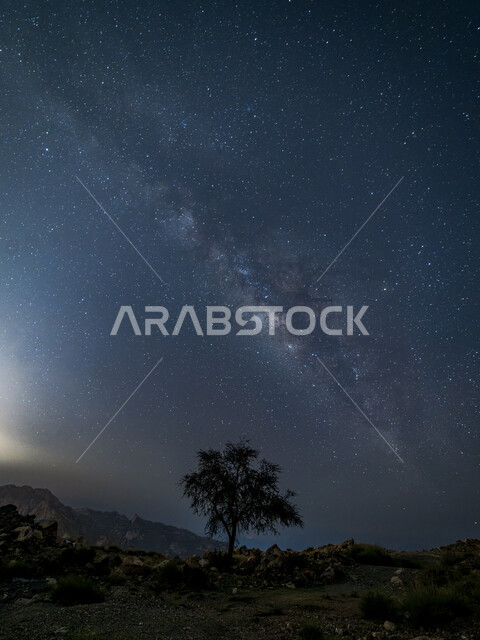 القمم والمرتفعات الجبلية, النجوم اللامعة في سماء مجرة درب التبانة، شجرة جافة في منطقة الطائف في السعودية ليلا، التكوينات الصخرية الطبيعية في المناطق الصحراوية، معالم و أماكن سياحية اثرية تاريخية قديمة                    