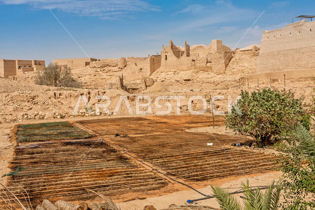 العمل على زيادة الإنتاج النباتي، نظام الري الحديث، القممو المرتفعات الجبلية ,تعزيز وتطوير الأمن الغذائي في مدينة الرياض في المملكة العربية السعودية, الدفيئة الزراعية في المزرعه العضوية بالقرب من الدرعية التاريخيه, خلفية الطبيعه