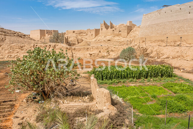 نظام الري الحديث، القممو المرتفعات الجبلية ,تعزيز وتطوير الأمن الغذائي في مدينة الرياض في المملكة العربية السعودية, الدفيئة الزراعية في المزرعه العضوية بالقرب من الدرعية التاريخيه, العمل على زيادة الإنتاج النباتي، خلفية الطبيعه