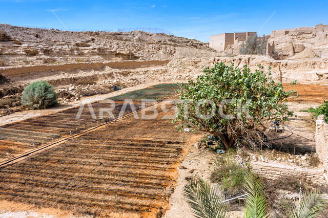 Mountain highlands, enhancing and developing food security in the city of Riyadh in the Kingdom of Saudi Arabia, agricultural greenhouse on the organic farm near the historic Diriyah, modern irrigation system, working to increase plant production, nature background