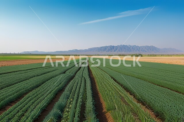 الاهتمام بزراعة الاشجار والنباتات الخضراء، منتجات ومحاصيل محلية وطنية، مزارع المملكة العربية السعودية، انظمة الري الحديثة والمتطورة، حقول وأراضي زراعية واسعة