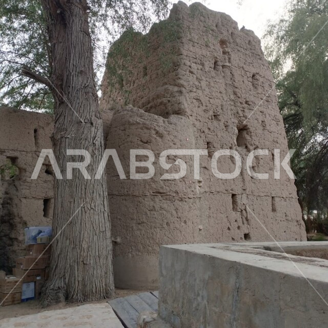 Interest in planting green trees, a cultural and entertainment destination, famous historical and archaeological tourist places and landmarks in the United Arab Emirates, Al Qattara Arts Center in the city of Al Ain, a destination for tourists from various countries, a close-up of ancient-style mud forts.