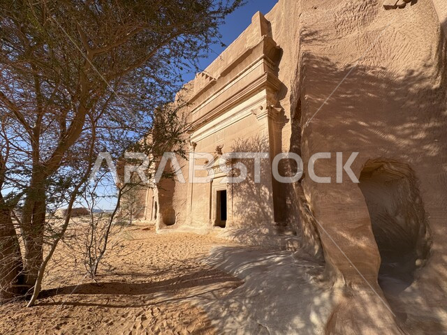 استقطاب و جذب السائحين من شتى انحاء العالم ,النباتات و الأعشاب البرية في المناطق الصحراوية، قصر البنت في مدائن صالح في محافظة العلا في وقت النهار، المعالم الأثرية القديمة في المملكة العربية السعودية، أماكن طبيعية تاريخية