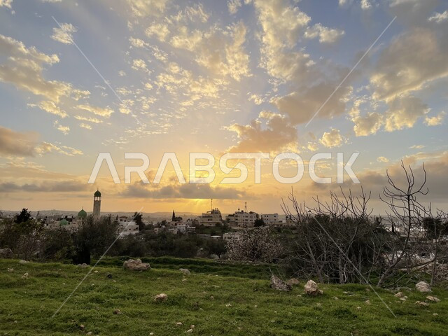 Caring and protecting plants and agricultural crops, paying attention to afforestation and cultivating large lands and areas in Palestine, natural reserves and farms, the view of the sky full of clouds during the day.