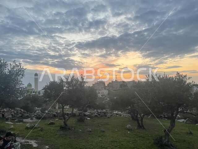 Interest in afforestation and cultivation of large lands and areas in Palestine, natural reserves and farms, care and protection of plants and agricultural crops, view of the sky full of clouds during the day.