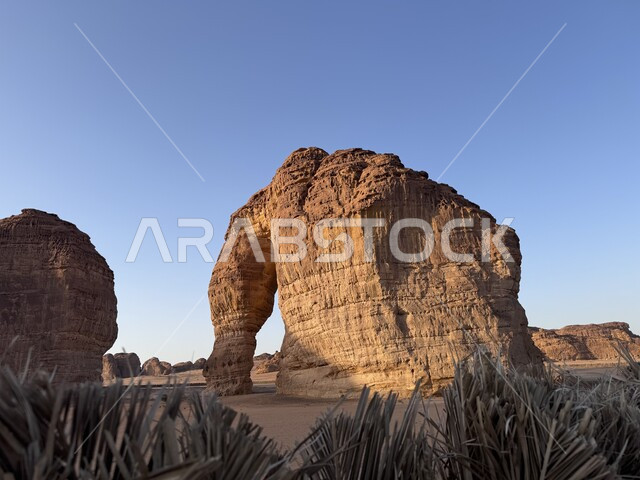 التشكيلات و التكوينات الصخرية في مدينة العلا، صخرة الفيل في المملكة العربية السعودية، الحضارات القديمة والمعالم التاريخية الأثرية، القمم والمرتفعات الجبلية، الاهتمام بزراعة الأشجار والنباتات الخضراء، الأماكن والمناطق الصحراوية المشهورة