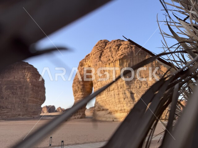 التشكيلات و التكوينات الصخرية في مدينة العلا، صخرة الفيل في المملكة العربية السعودية، الحضارات القديمة والمعالم التاريخية الأثرية، القمم والمرتفعات الجبلية، الاهتمام بزراعة الأشجار والنباتات الخضراء، الأماكن والمناطق الصحراوية المشهورة