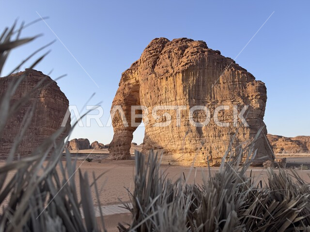 التشكيلات و التكوينات الصخرية في مدينة العلا، صخرة الفيل في المملكة العربية السعودية، الحضارات القديمة والمعالم التاريخية الأثرية، القمم والمرتفعات الجبلية، الاهتمام بزراعة الأشجار والنباتات الخضراء، الأماكن والمناطق الصحراوية المشهورة