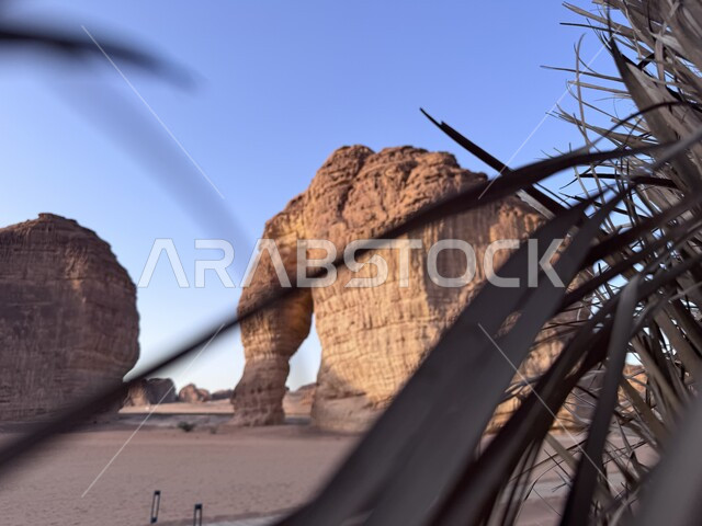 التشكيلات و التكوينات الصخرية في مدينة العلا، صخرة الفيل في المملكة العربية السعودية، الحضارات القديمة والمعالم التاريخية الأثرية، القمم والمرتفعات الجبلية، الاهتمام بزراعة الأشجار والنباتات الخضراء، الأماكن والمناطق الصحراوية المشهورة