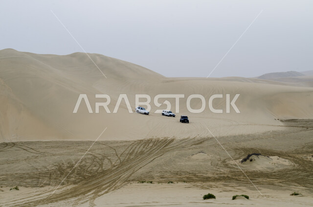 قيادة سيارة الدفع الرباعي ( التطعيس ) وسط صحراء دولة قطر، مغامرات سفاري على الكثبان الرملية في مدينة الدوحة ، نشاط صحراوي ممتع، مغامرة شيقة في البيئة الصحراوية, الاستمتاع بممارسة الهوايات والأنشطة الترفيهية في الصحارى العربية