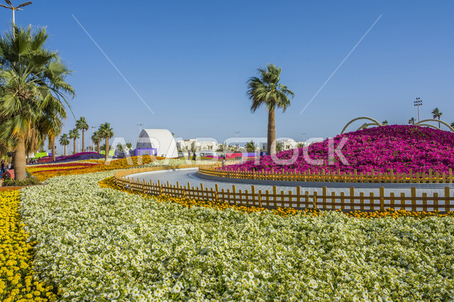 الديكورات والتصاميم في حديقة المناسبات بمدينة ينبع الصناعية، مهرجانات ومعارض طبيعية سياحية في المملكة العربية السعودية، وجهه عائلية بيئية ثقافية وترفيهية، سجادة الأزهار الملونة في مهرجان الورود والحدائق، الحفاظ على البيئة والتنمية المستدامة