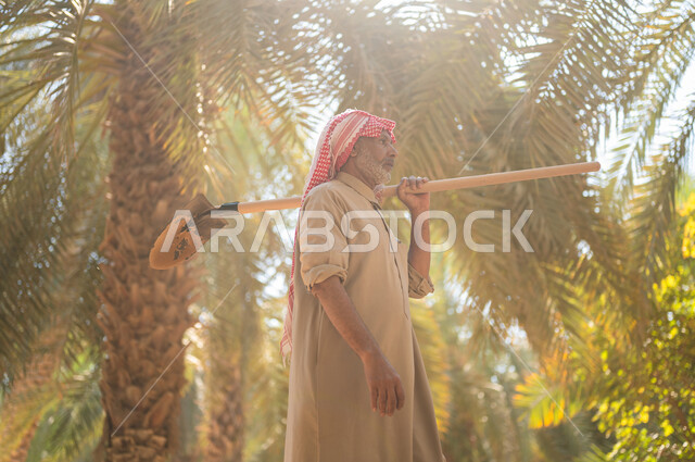 استخدام أدوات شعبية قديمة في العمل في المزرعة، التجول في المزرعة بين الأشجاربعد انهاء العمل، قضاء وقت العمل في الهواء الطلق، فلاح كبير السن عربي خليجي سعودي مبتسم يرتدي الزي الشعبي يحمل المجرفة على كتفه وينظر إلى الأعلى في أحد مزارع المملكة العربية السعودية
