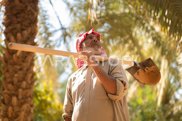 مفهوم مهنة الفلاحة والزراعة، الاستعداد لحراثة الأراضي الزراعية، دور الفلاحين السعوديين في المحافظة على التراث الزراعي والإنتاج المحلي، فلاح كبير السن عربي خليجي سعودي يرتدي الزي الشعبي التقليدي ويضع الشماغ على رأسه يحمل بيده أداة الحفر ويتجول في مزارع النخيل