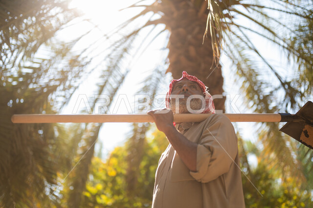 Spending time working outdoors, the role of Saudi farmers in agriculture, using old folk tools to work on the farm, an elderly Saudi Arabian Gulf farmer wearing a traditional costume carrying a shovel on his shoulder and looking up at one of the farms of the Kingdom of Saudi Arabia