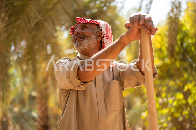 ايماءات الفرح والسرور، الحفاظ على التراث الزراعي والانتاج المحلي، دور الفلاحين السعوديين في رعاية الأراضي الزراعية، مفهوم مهنة الفلاحة والزراعة، فلاح كبير السن عربي خليجي سعودي يرتدي الزي الشعبي يستند على المجرفة وينظر إلى الأعلى في أحد مزارع المملكة العربية السعودية