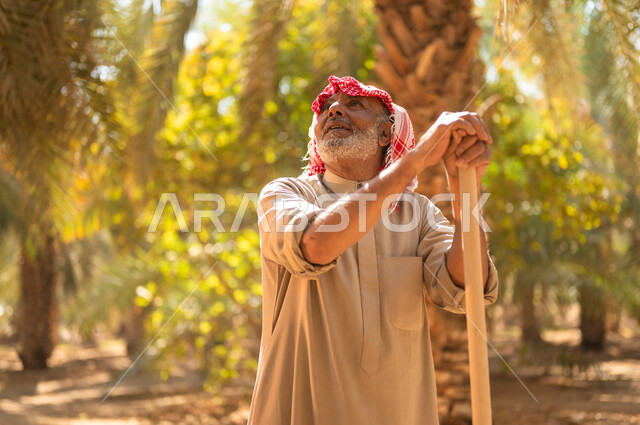 دور الفلاحين السعوديين في رعاية الأراضي الزراعية، الحفاظ على التراث الزراعي والانتاج المحلي، مفهوم مهنة الفلاحة والزراعة، فلاح كبير السن عربي خليجي سعودي يرتدي الزي الشعبي يستند على المجرفة وينظر إلى الأعلى في أحد مزارع المملكة العربية السعودية