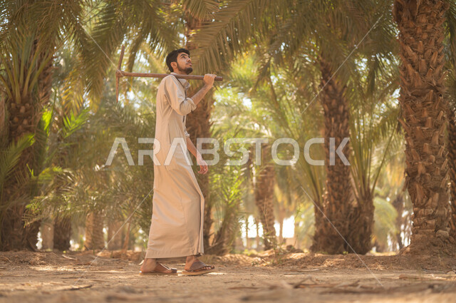 Finishing the work of plowing the land in the palm farm using old tools. A Saudi Arabian Gulf farmer wearing traditional folk costume puts the drilling tool on his shoulder and looks up at the farms of the Kingdom of Saudi Arabia with gestures of happiness and pleasure, taking care of the farm’s rich and fertile soil