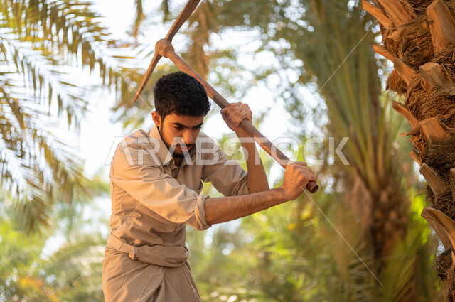 القيام بحراثة الأرض في مزرعة النخيل باستخدام أداة حفر تقليدية فديمة، العمل في المزرعة الاهتمام بالتربة الغنية والخصبة في مزارع المملكة العربية السعودية، مفهوم مهنة الزراعة والفلاحة، فلاح عربي خليجي سعودي يرتدي الزي الشعبي التقليدي يقوم بالحفر وحراثة الأرض
