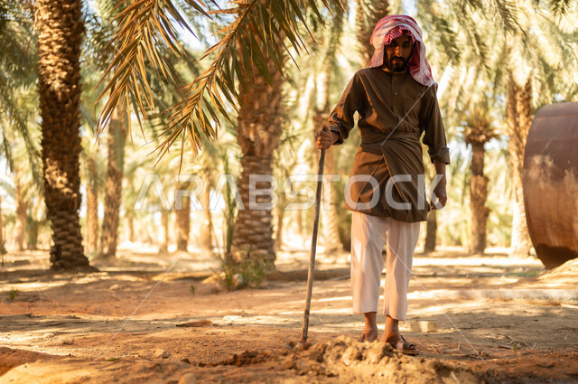 العمل في المزرعة في الري وسقاية الأراضي الزراعية تربة غنية وثمار ذات جودة في المملكة العربية السعودية, زراعة الأشجار المثمرة المحلية, مزارع عربي خليجي سعودي يرتدي الثوب والعمامة يقوم بحفر طريق للماء باستخدام المجرفة ليصل إلى كافة المزروعات، مهن تقليدية محلية
