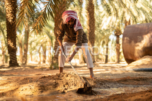 زراعة الأشجار المثمرة المحلية, مزارع عربي خليجي سعودي يرتدي الثوب والعمامة يقوم بحفر طريق للماء باستخدام المجرفة ليصل إلى كافة المزروعات، العمل في المزرعة في أعمال الري وسقاية الأراضي الزراعية في المملكة العربية السعودية, تربة غنية وثمار ذات جودة، مهن تقليدية محلية