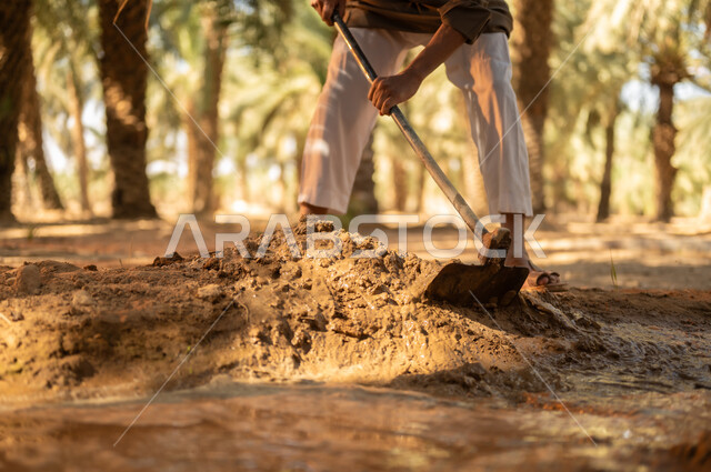 العمل في المزرعة في الري وسقاية الأراضي الزراعية في المملكة العربية السعودية, تربة غنية وثمار ذات جودة، زراعة الأشجار المثمرة المحلية, مزارع عربي خليجي سعودي يرتدي الثوب والعمامة يقوم بحفر طريق للماء باستخدام المجرفة ليصل إلى كافة المزروعات، مهن تقليدية محلية