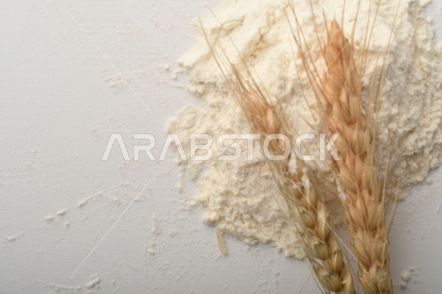 مجموعة من الأرز والقمح والطحين والعملات المعدنية على خلفية بيضاء