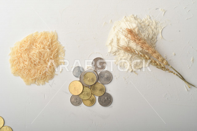 مجموعة من الأرز والزبيب والقمح والطحين والعملات المعدنية على خلفية بيضاء