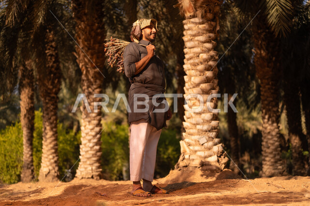 Spending time working outdoors, harvest season and collecting dates on the farm, local Saudi agricultural crops, a smiling Saudi Arabian Gulf farmer wearing a thobe and placing a shemagh on his head to protect from the sun and carrying a bunch of dates on his shoulder in fruitful palm farms, traditional agricultural occupations