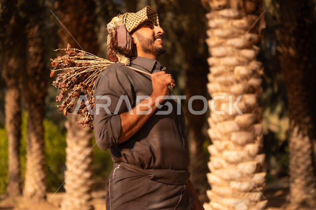 محاصيل زراعية محلية سعودية، موسم الحصاد وجني التمور في المزرعة، فلاح عربي خليجي سعودي مبتسم يرتدي الثوب ينظر إلى الأعلى ويضع على رأسه الشماغ للحماية من أشعة الشمس ويحمل على كتفه عذق التمر ويتجول في مزارع النخيل المثمرة، إيماءات السعادة والسرور، مهن زراعية تقليدية