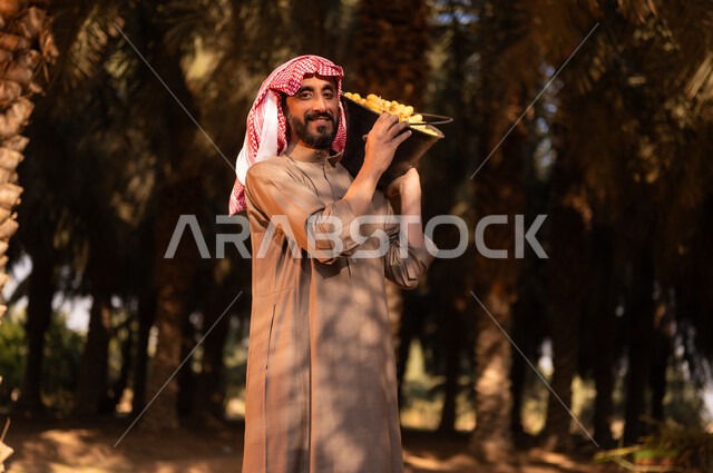 موسم الحصاد وجني التمور في المزرعة، محاصيل زراعية محلية، قضاء وقت العمل في الهواء الطلق، فلاح عربي خليجي سعودي مبتسم يرتدي الثوب والعمامة ينظر إلى الكاميرا ويحمل على كتفه ثمار البلح، إيماءات السعادة والسرور، الاهتمام بالأشجار المثمرة في مزارع المملكة، مهن زراعية تقليدية