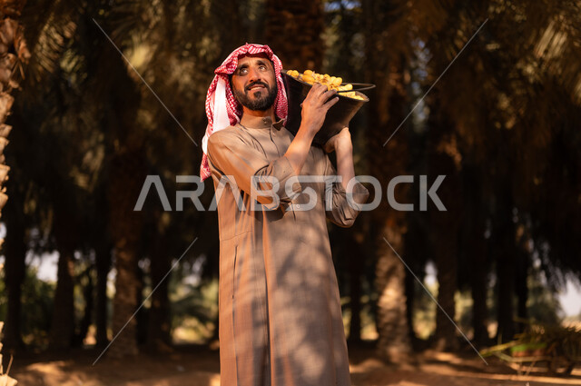 محاصيل زراعية محلية، قضاء وقت العمل في الهواء الطلق، موسم الحصاد وجني التمور في المزرعة، فلاح عربي خليجي سعودي مبتسم يرتدي الثوب والعمامة ينظر إلى الأعلى ويحمل على كتفه ثمار البلح، إيماءات السعادة والسرور، الاهتمام بالأشجار المثمرة في مزارع المملكة، مهن زراعية تقليدية